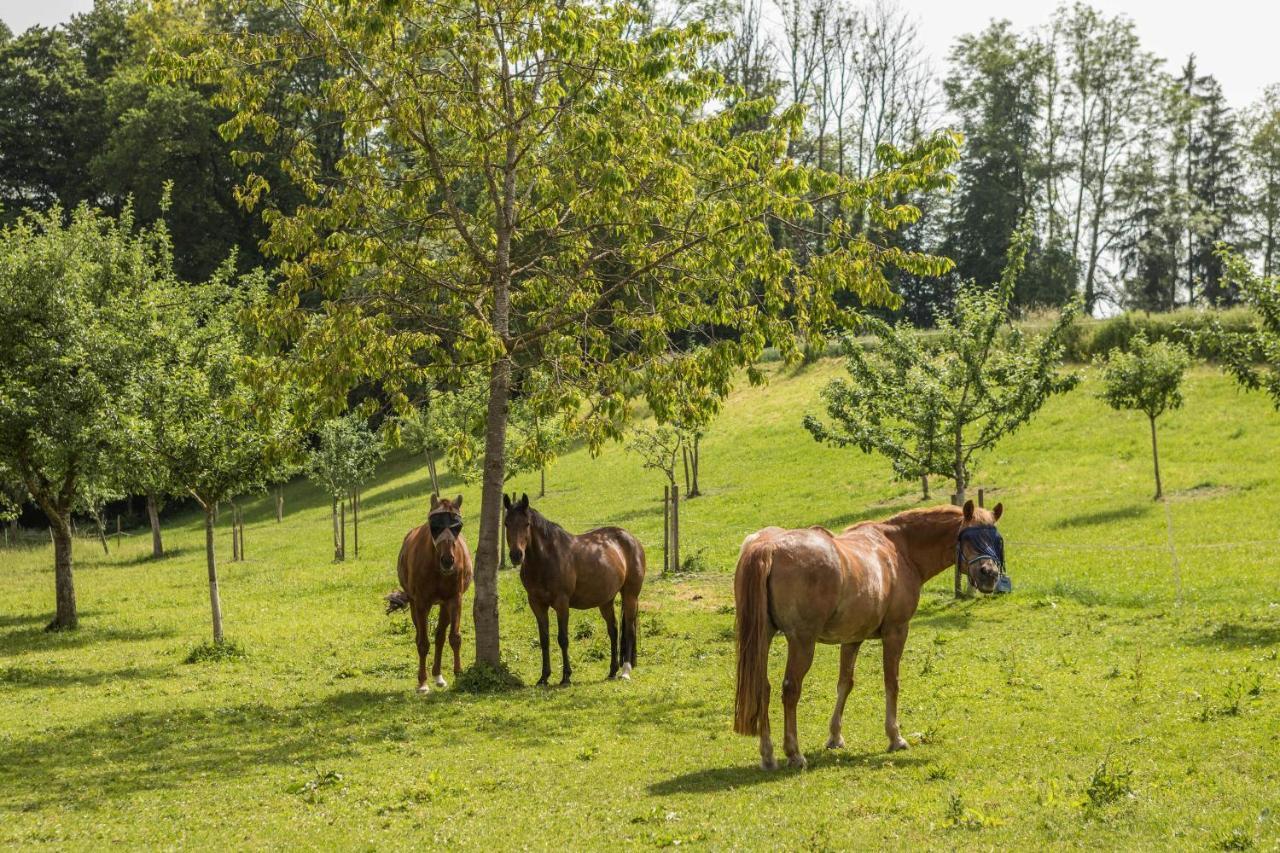 Hof Wagenberg Ferienwohnung 1 Deggenhausertal Esterno foto